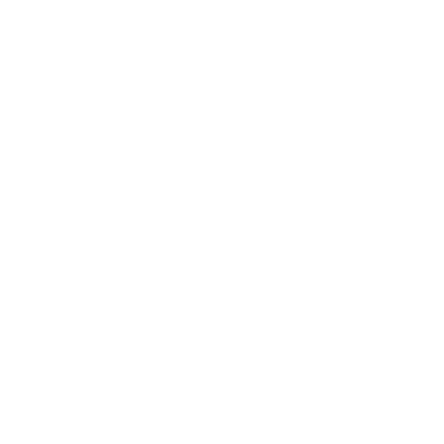 Anvelope camioane