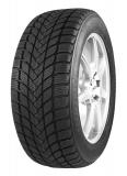 MASTER-STEEL WINTER + IS-W 205/50R17 93H XL